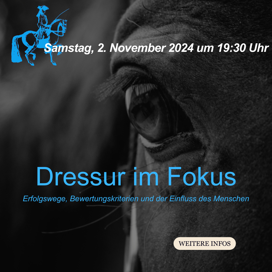 Read more about the article Dressur im Fokus: Erfolgswege, Bewertungskriterien und der Einfluss des Menschen — Samstagabend, 2. November 2024