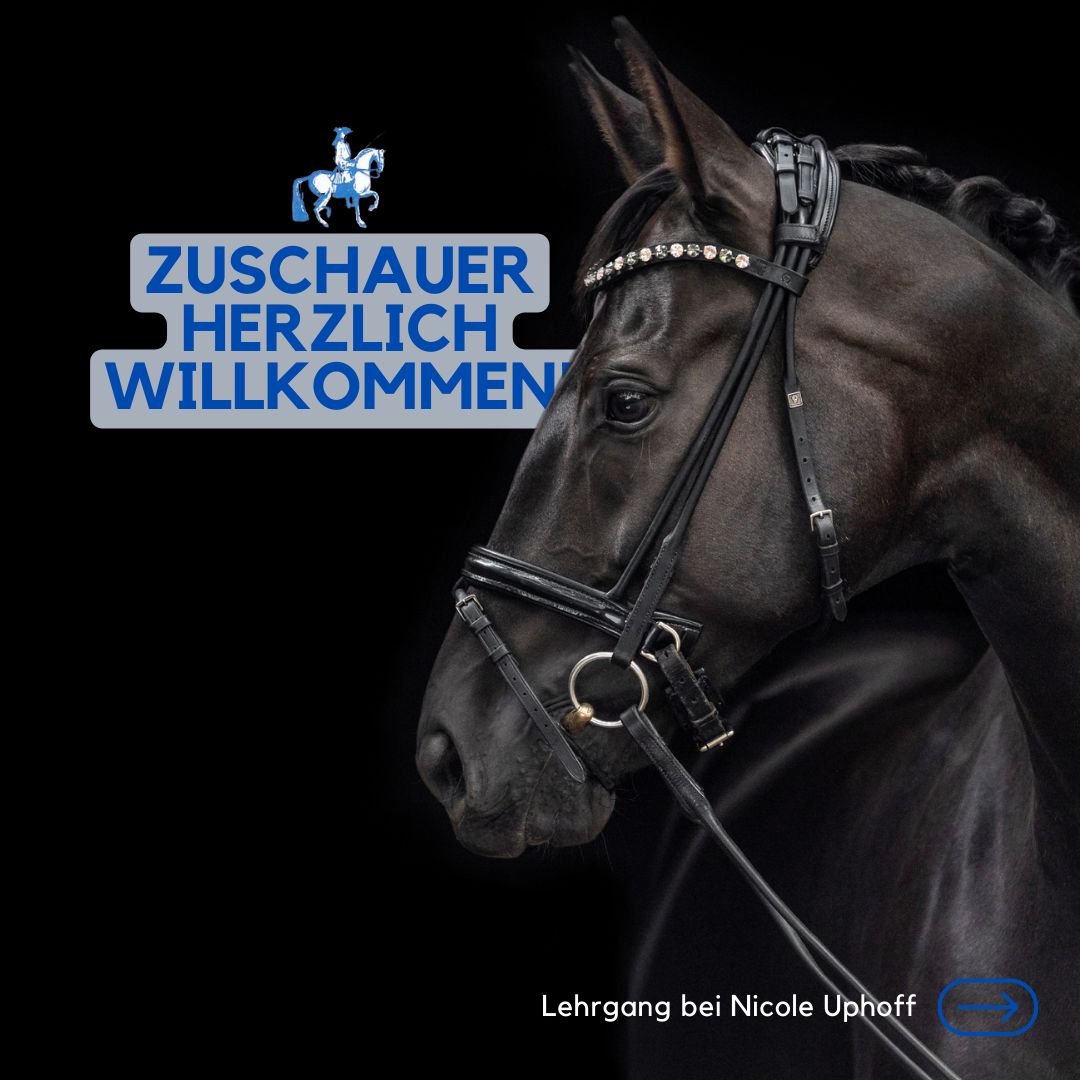 Read more about the article Exklusive Einblicke: Training miterleben — Dressurlehrgang mit Olympiasiegerin am 2. und 3. November 2024